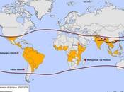 Vacuna contra dengue