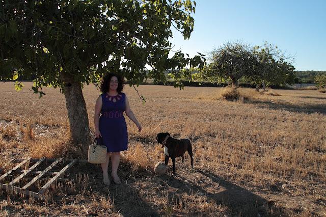 Look  vestido azul y fucsia