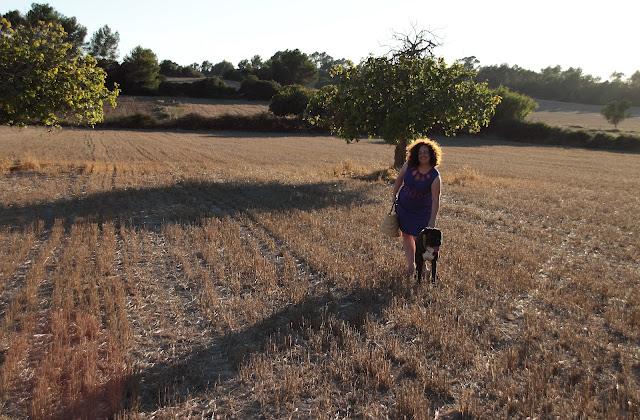 Look  vestido azul y fucsia