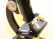 Práctica Microscopio