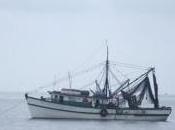 Ecuador elimina pesca arrastre