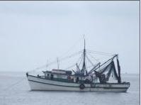 Ecuador elimina la pesca de arrastre