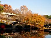 Shinjuku Gyoen (新宿御苑)