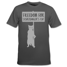 ¿POR QUÉ PODEMOS RESISTIRNOS A ACEPTAR EL MULTIVERSO CUÁNTICO?