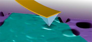 Disulfuro de molibdeno, prometedor material para la electrónica flexible