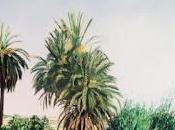 Ágora disponible para descarga libre