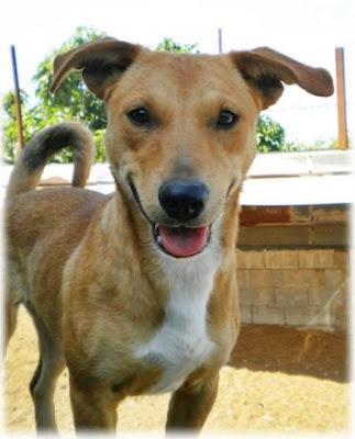 Teka, toda la vida espendo que alguien se fije en ella.