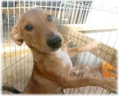 Teka, toda la vida espendo que alguien se fije en ella.