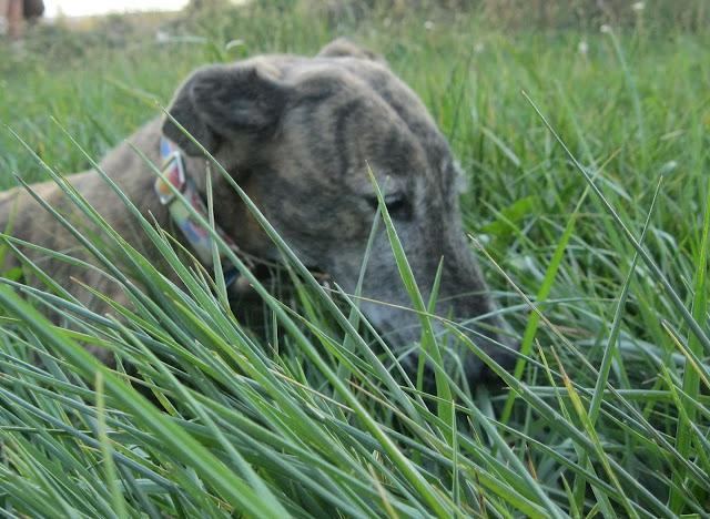 Cuando tu vida, transcurre a cámara lenta.