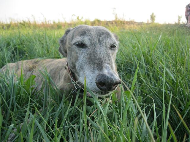 Cuando tu vida, transcurre a cámara lenta.