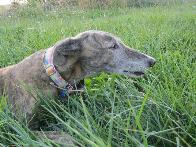 Cuando tu vida, transcurre a cámara lenta.