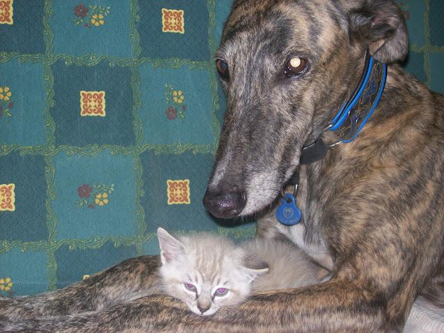 Cuando tu vida, transcurre a cámara lenta.