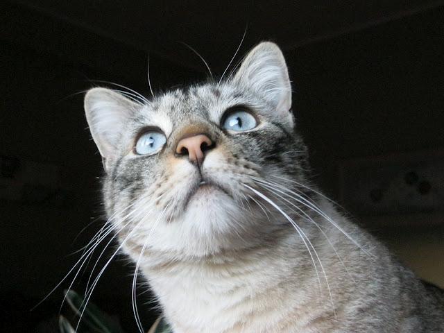 Cuando tu vida, transcurre a cámara lenta.