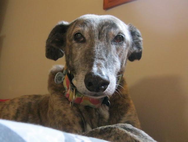 Cuando tu vida, transcurre a cámara lenta.