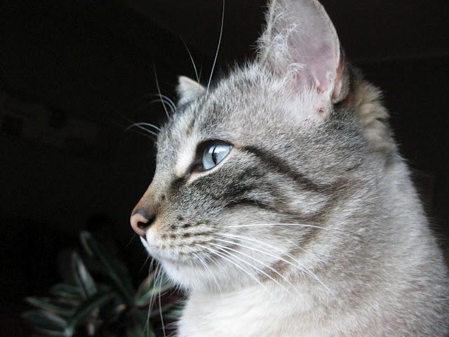 Cuando tu vida, transcurre a cámara lenta.