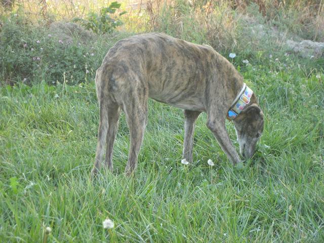 Cuando tu vida, transcurre a cámara lenta.