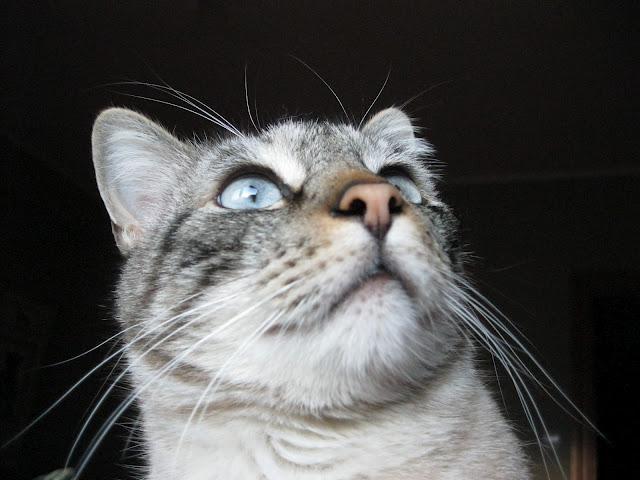 Cuando tu vida, transcurre a cámara lenta.