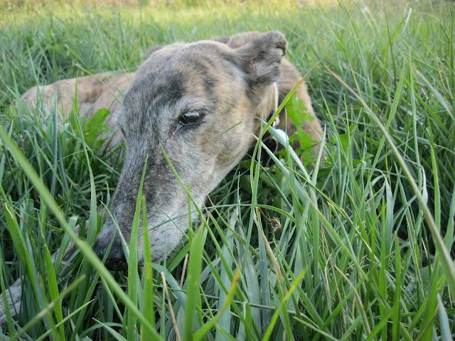 Cuando tu vida, transcurre a cámara lenta.