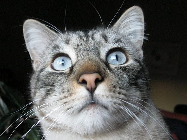 Cuando tu vida, transcurre a cámara lenta.