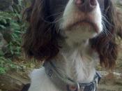 Querían enterrarlo dueño