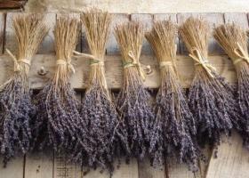 Confeccionar un ramo de flores secas