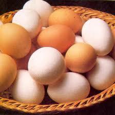 h214 El huevo una fuente de nutrientes que no engordan