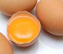 h310 El huevo una fuente de nutrientes que no engordan