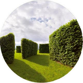 La importancia de los límites del jardín