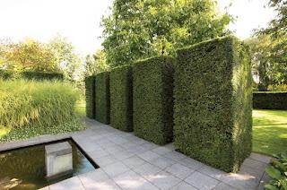 La importancia de los límites del jardín