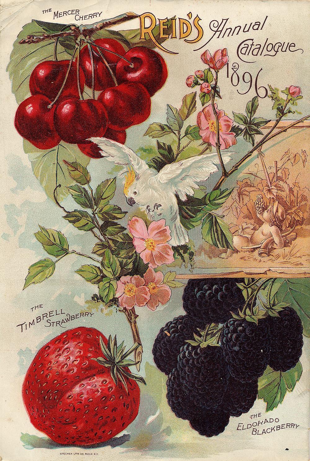 Catálogos de semillas