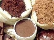antioxidantes cacao aumentan función cerebral