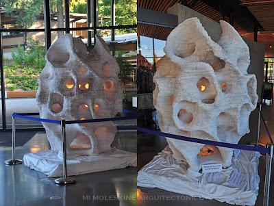 CENTRO DE VISITANTES VAN DUSEN, MIRADAS INTENSIVAS