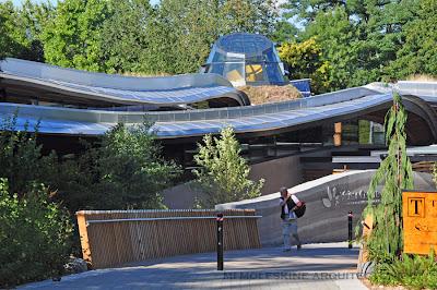 CENTRO DE VISITANTES VAN DUSEN, MIRADAS INTENSIVAS