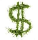 Lista de 22 Negocios Verdes o Ecológicos