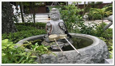 La fuente de la juventud La fuente de la juventud