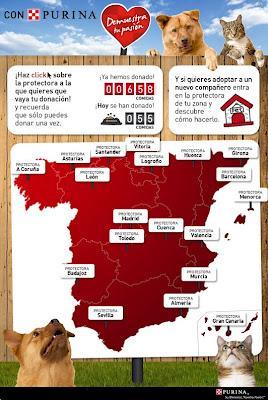 Iniciativa en favor de 22 protectoras de animales españolas