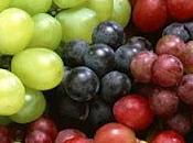 Propiedades nutritivas