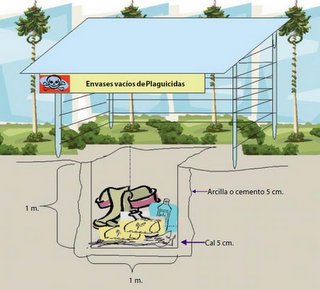 ¿Qué Debemos Hacer con los Envases Vacíos de los Plaguicidas?