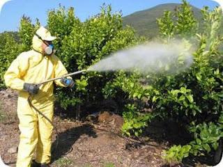 Uso de Plaguicidas - Precauciones que Debemos Tener