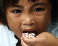 Arsénico en el arroz