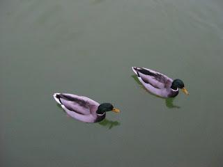 Autoestima y maternidad