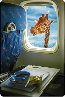 Cerrado por vacaciones