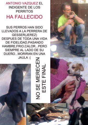 ANTONIO VAZQUEZ, (EL MENDIGO) HA FALLECIDO LO QUE MAS QUERIA... A LA PERRERA... MORIRAN EN UNA JAULA‏