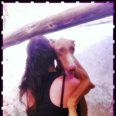 Foto: *CANELA* MUY URGENTE HAN ENTRADO A ROBARLA, NECESITA ALGO YAA PODENCA DE 2 AÑOS Y MEDIO, ES MUY TIERNA Y AGRADECIDA. NECESITA ACOGIDA O ADOPCIÓN SE ENTREGARA CASTRADA Y SOLO A FAMILIA RESPONSABLE CONTACTO: pupekas@gmail.com, tlf: 644 296 733  ACOGIDAS SOLO ALMERÍA. ADOPCIÓN TODA ESPAÑA