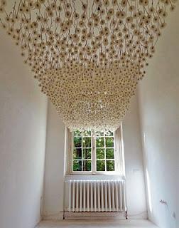 2000 dientes de león y 1 deseo