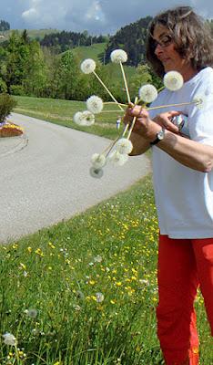 2000 dientes de león y 1 deseo