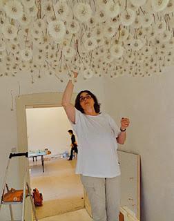 2000 dientes de león y 1 deseo