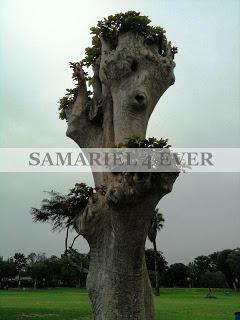 Significado del Nombre: ¿Como elegir su nombre?