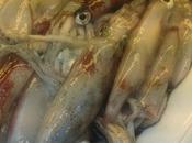 plato estrella esta temporada:Maganos frescos guadañeta...