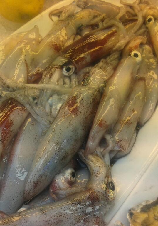 El plato estrella de esta temporada:Maganos frescos de guadañeta...